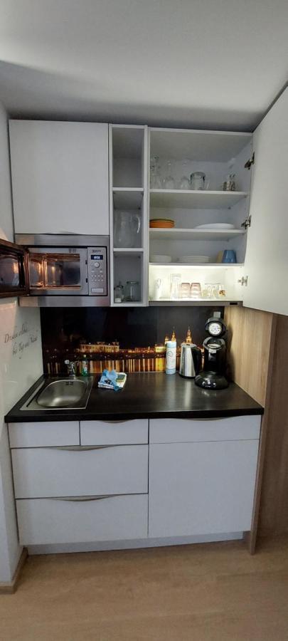 Appartements Am Schillergarten Drážďany Exteriér fotografie